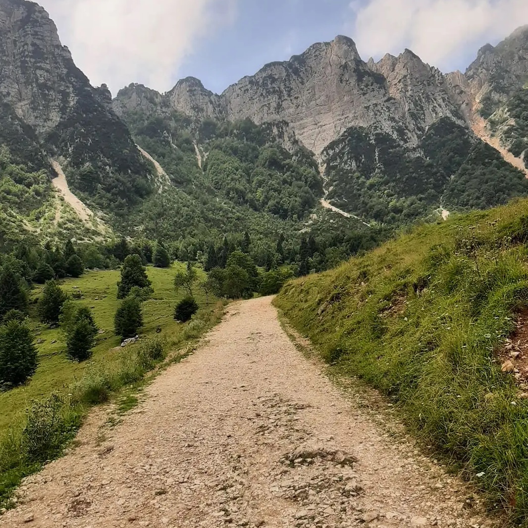 SENTIERO DEI GRANDI ALBERI
