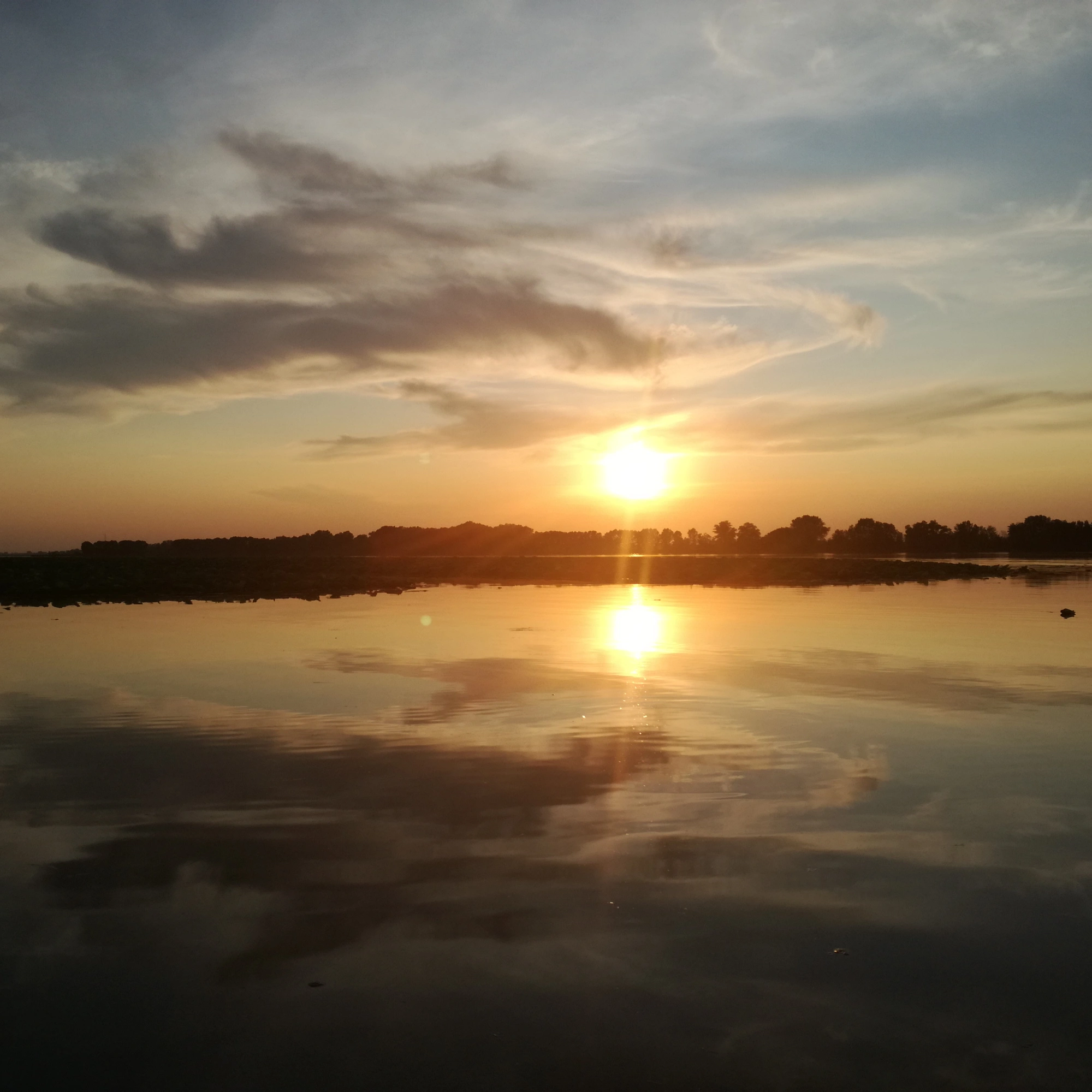 I FIORI DI LOTO NELLA VALLE DEL MINCIO
