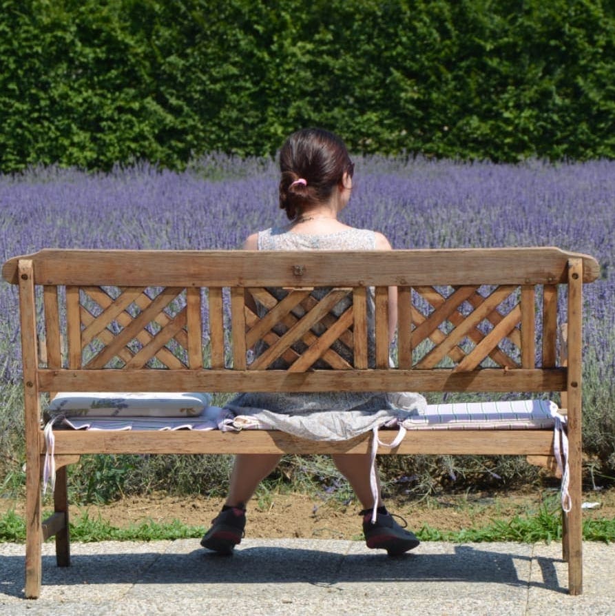 PIC NIC TRA LA LAVANDA