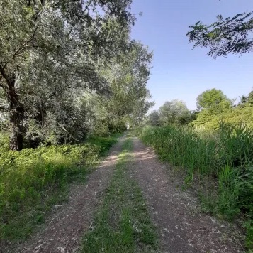 VALLI DI REGGIOLO E NOVELLARA