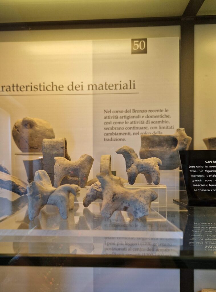 Museo Terramara di Poviglio
