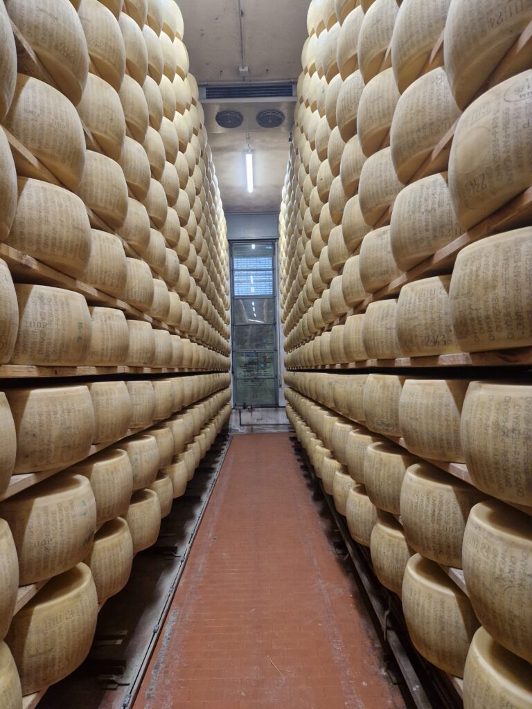 Parmigiano Reggiano Sissa Trecasali