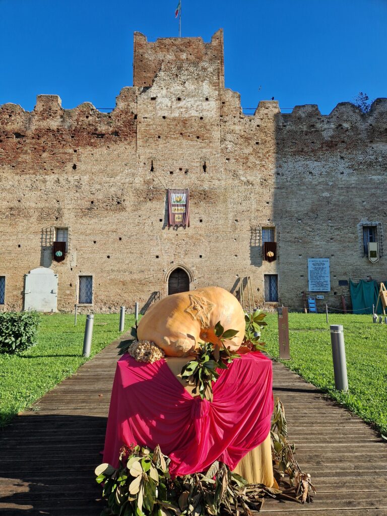 Rocca Reggiolo Fiera della Zucca