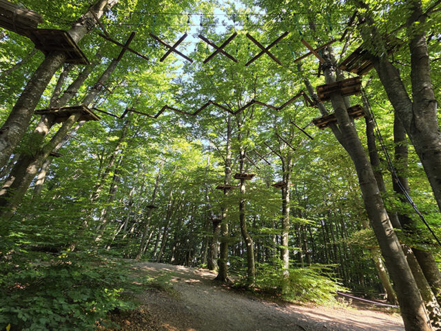 PARCO AVVENTURA CERWOOD