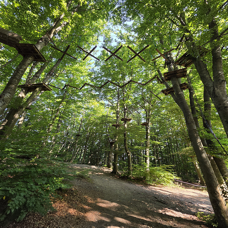 PARCO AVVENTURA CERWOOD