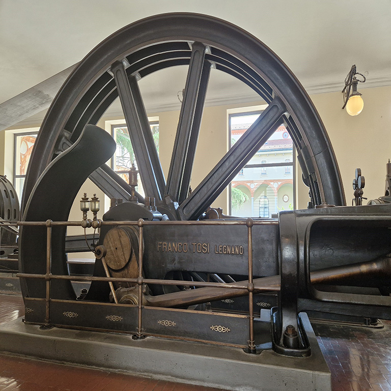 DISABILITY CARD IN VIAGGIO A MILANO